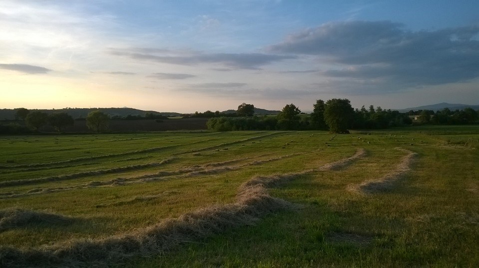 campi al tramonto con onde di fieno
